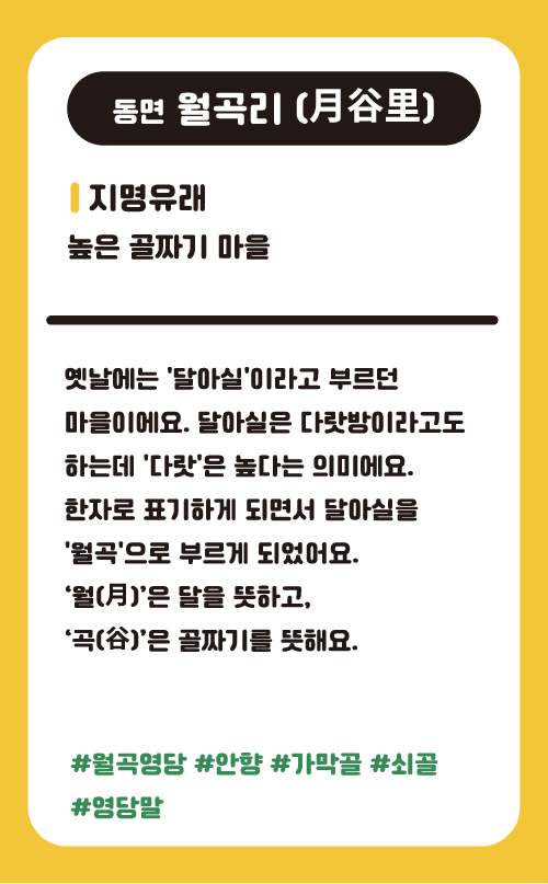 월곡리